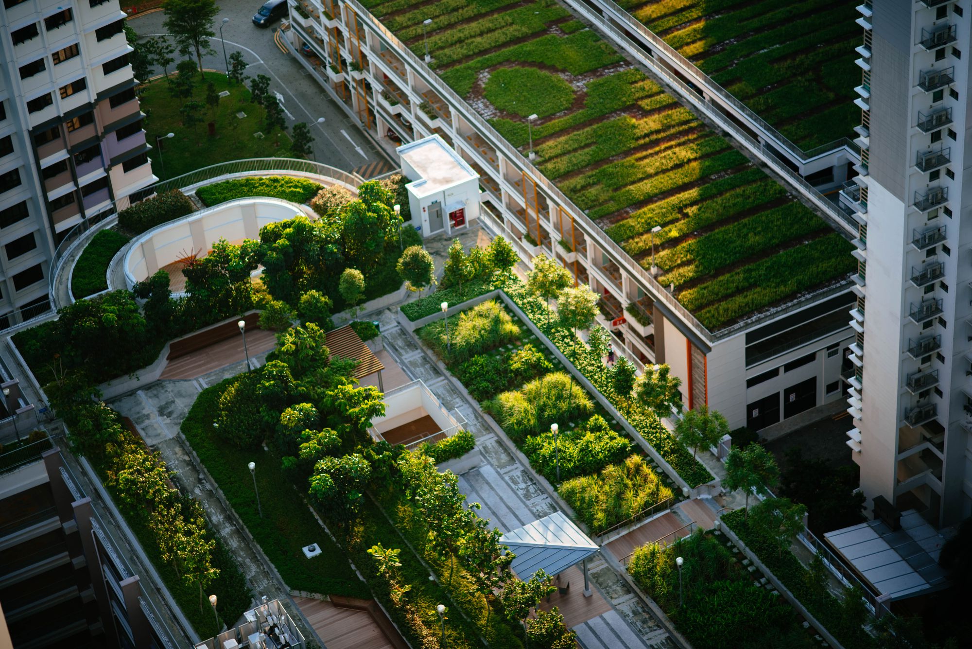 New York City Greenery Absorbing All Traffic Emissions on Many Summer Days  - Yale E360