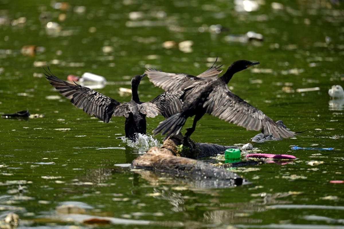 First Steps Toward A Global Plastics Treaty